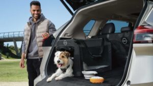 Nissan introduces vehicle-specific pet accessories